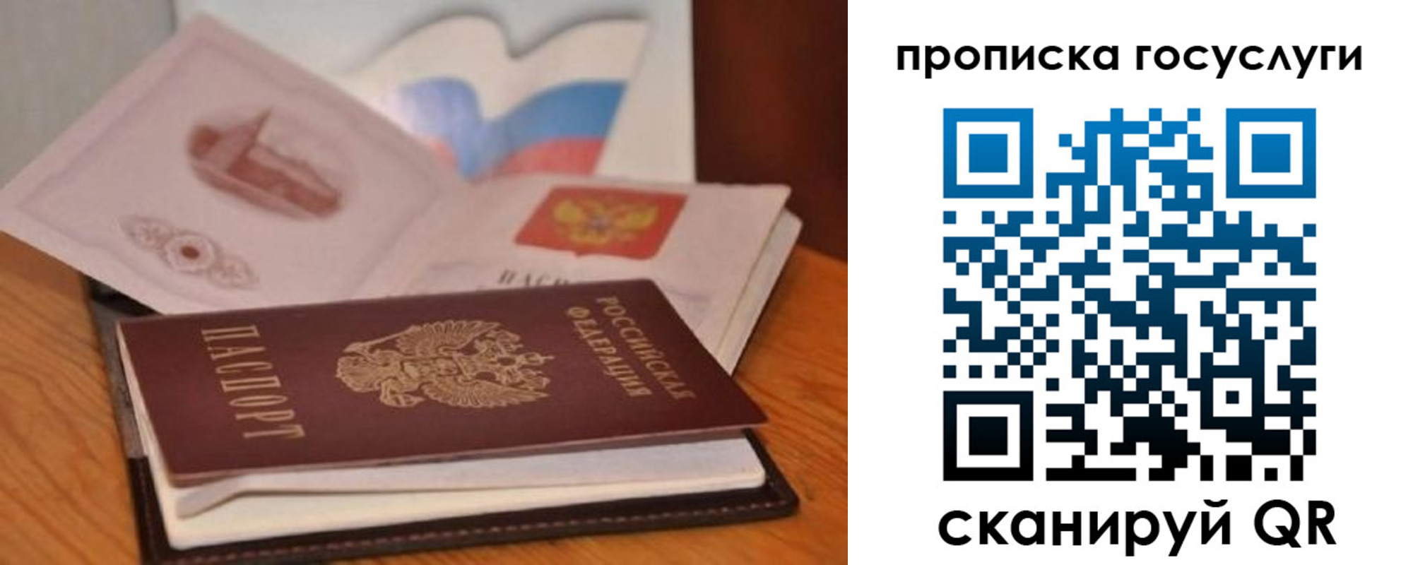 прописка в квартире в Стародубе